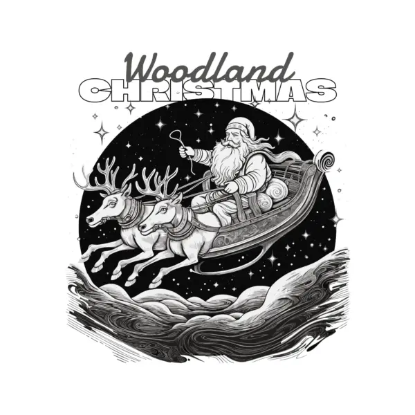 Santa Claus in his sleigh with stars in the background and clouds below them design