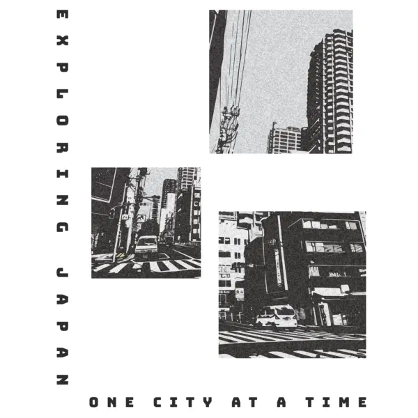 Tokyo city photos divided into rectangles in black and white design