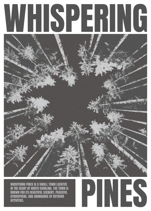 Pines decorating a night in the middle of the forest design