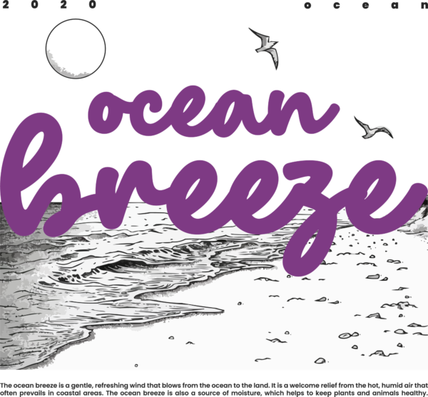 Summer phrase on a beach surrounded by sand, sea, seagulls, and sun design