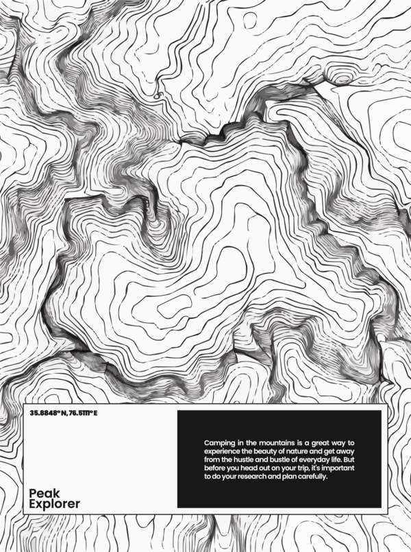 Trees pine from above with a camping phrase design