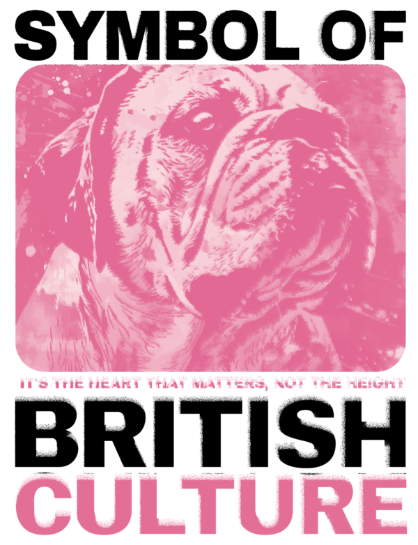 Bulldog english in a pink frame with a worn out slogan design