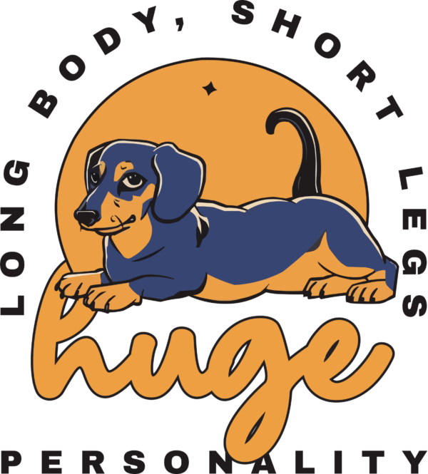 Dog dachshund lying inside a frame in orange color design