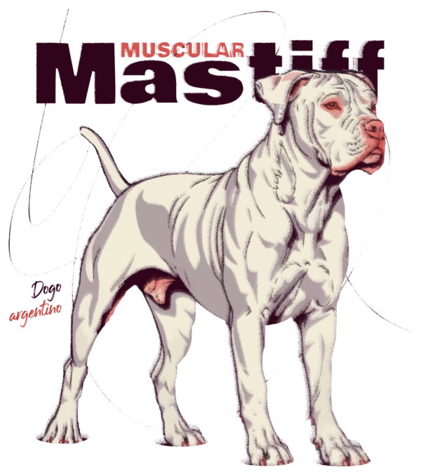 Dogo argentino quite strong with a related phrase design