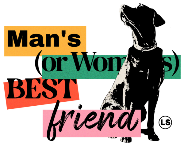 Labrador looking at the sky with colorful phrase design