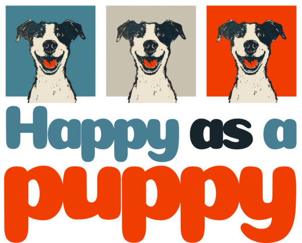 Happy dog in 3 decorated backgrounds with a phrase design