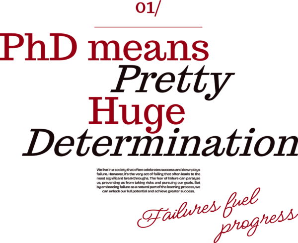 PhD means Pretty Huge Determination