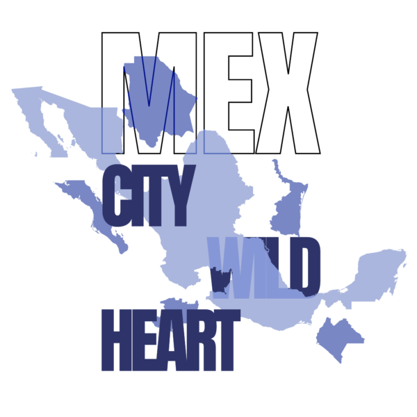 A design with a disassembled map of Mexico by states design