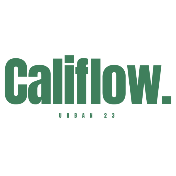 Typography display in green with a phrase about the city of Cali design