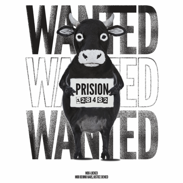 Cow being arrested with background phrase design