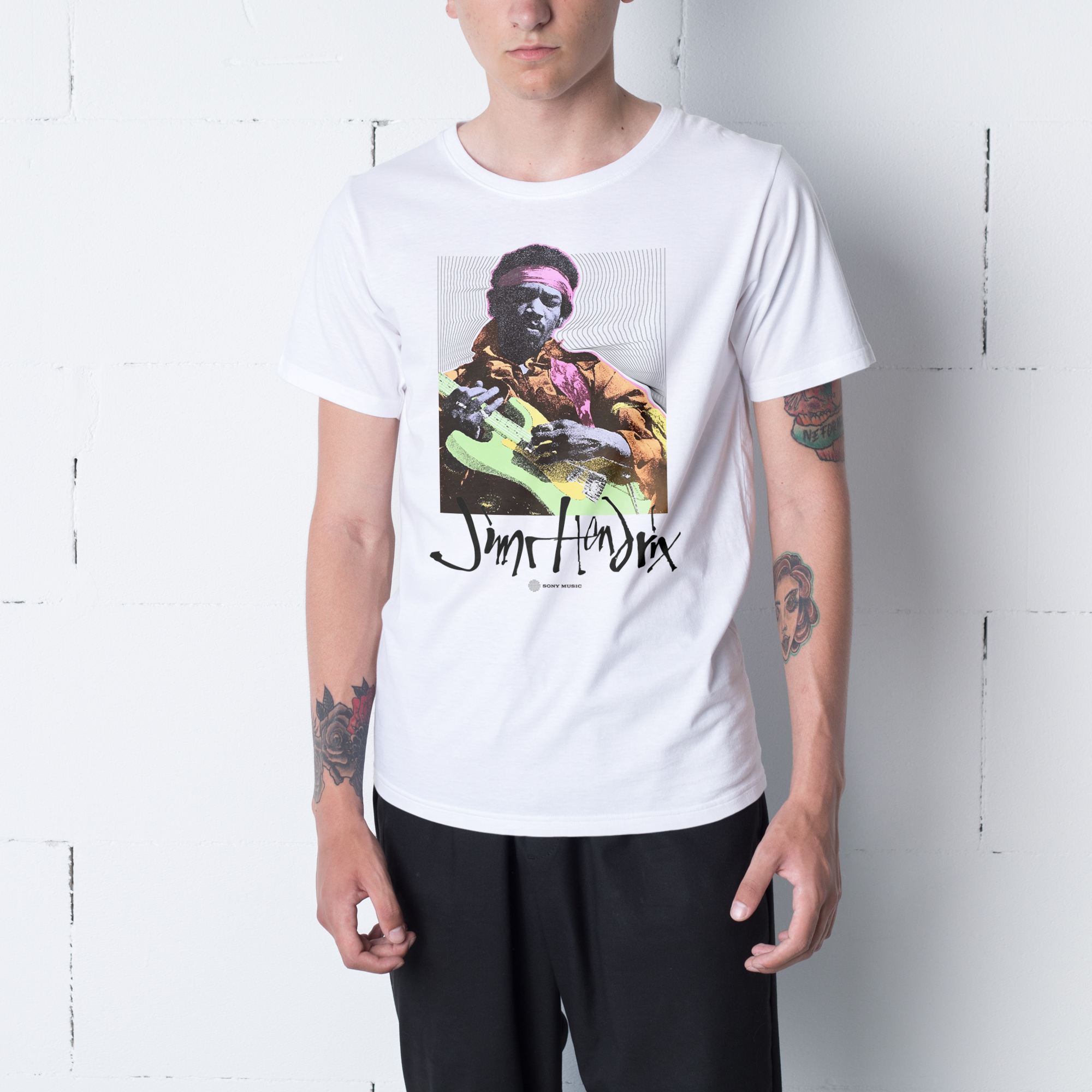 jimi-hendrix-rock-guitarist-de (5)